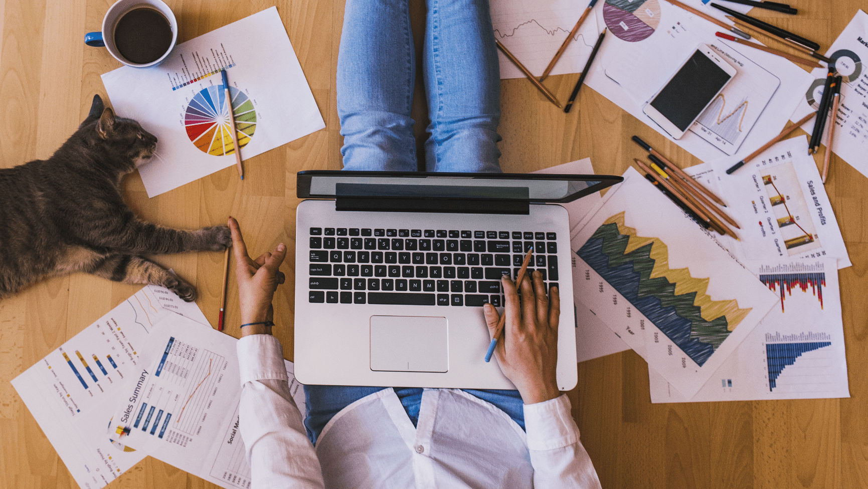 dreamzdevelopers online start-up IT-sector